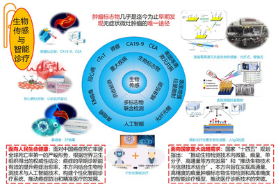 信息学院王琦教授成功获批国家科技重大专项，聚焦信息科技前沿技术开发